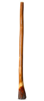 Ironbark Didgeridoo (IB209)
